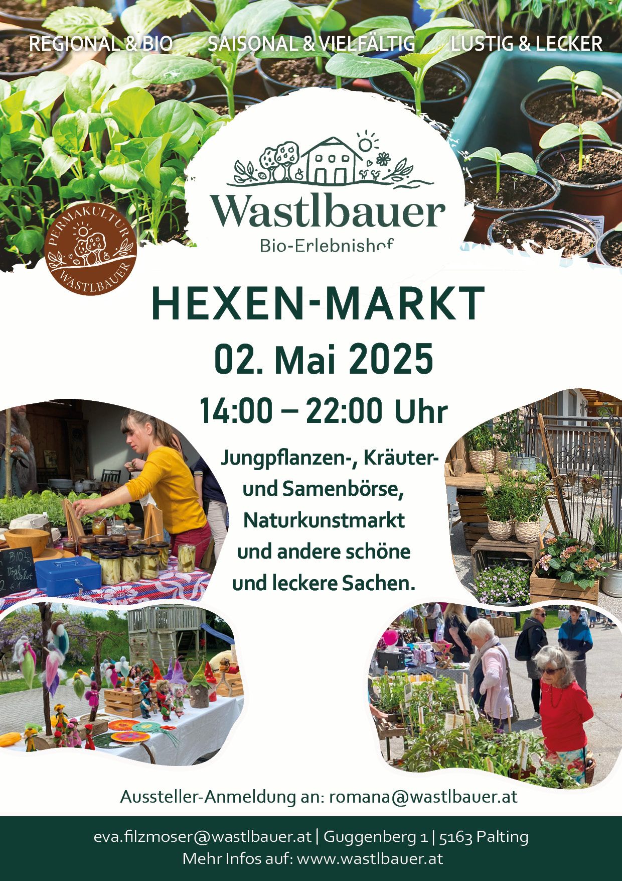 Read more about the article Hexenmarkt