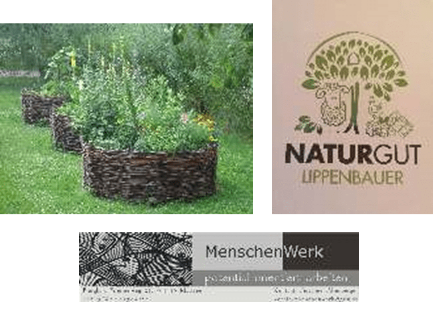 Read more about the article Hochbeet aus Weidengeflecht